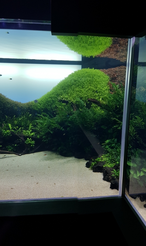 20170623_103928_resize.jpg