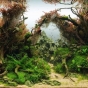 360l - October Twillight - Piotr Dymowski
