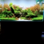 250l - Lost in Nature - Kamil Sobala