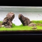 375l - Pierwsze Iwagumi -  fary85