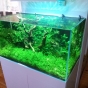 172l - Max Low Tech - florek
