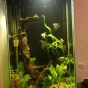 220,5 l Moje poprzednie akwarium - aquaallegro