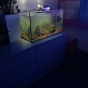 Wzmocnienie komody Malm (IKEA) pod akwarium. Prośba o pomoc.