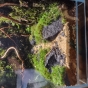 014l - Mcharium - Waska