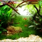 360l - Mark Evans (Tropica)