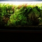 112l - Low Tech - Damian Sz