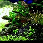 112l - Powrót do hobby - sliwek898