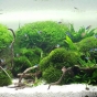 360l - Druga odsłona - magura