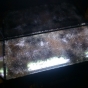 105l - Iwagumi