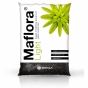Batalia podłoży aktywnych - Rotala Maflora Light