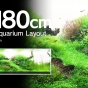 [ADAview] Forest of Aquatic Plants - 180cm