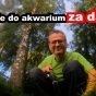 Korzenie do akwarium za darmo
