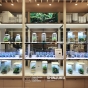 ADA Mini Nature Aquarium