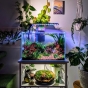 Inspiracja Tropica