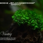 Fissidens Splachnobryoides