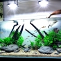 Tutorial zakładania akwarium - The Indian River Aquarium