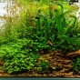 063l - Green Aqua - Mateusz Salawa