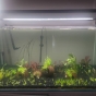 250l - Ostatnie podejście 250 L