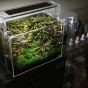 Lampa LED ADA AquaSky 301 30cm i ADA Wood Cabinet W45