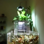 Lampa LED ADA AquaSky 301 30cm i ADA Wood Cabinet W45