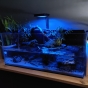 074l - Aquaterrarium - Rio Xingu -   lebson