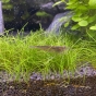 360L akwarium ogólne.
