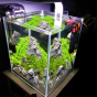 019l - Flowerpot hill - AquaMolitor