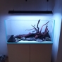 200l - B/N - joshua