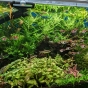 Akwarium Mid-Tech 240 l