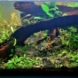 360l - VIV/Nature? - Krzysztof