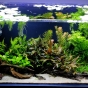 112l - Endlers World - kipolhc