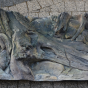 Tło strukturalne do akwarium Amazonka 120x50cm 3D