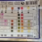 Glony w akwarium