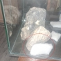 zakrycie szczelin pomiędzy skałami
