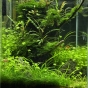 31,5L - Pierwsza kostka