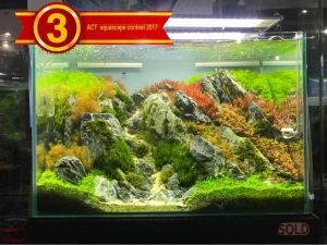 act9