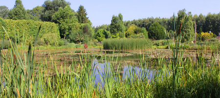 Arboretum w Bolestraszycach