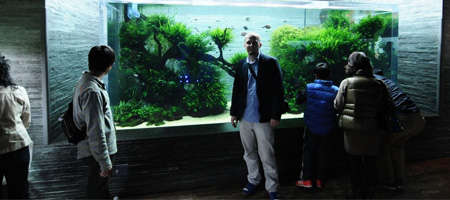 Fotorelacja z Sumida Aquarium