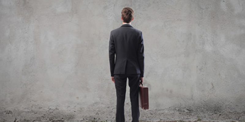 Piach z OBI, ziemia z Biedronki, siatka z Castoramy...