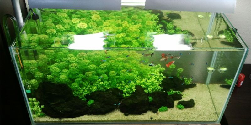 112l - "Lost Island" Paweł Rygol