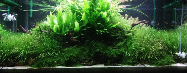 180l - "LONELY ISLAND" Piotr Modrzejewski