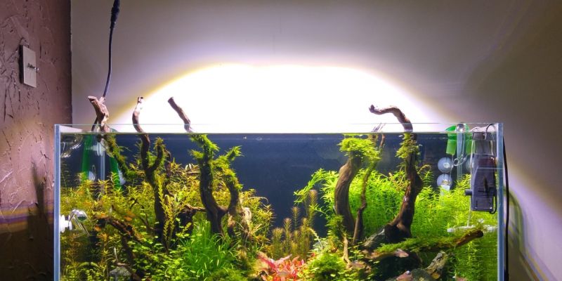 182l - AquaFit23 