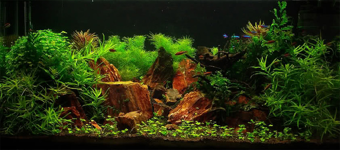 200l - Burnt Rocks Hill - Adam Waśniewski