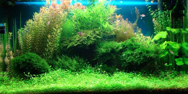 125l - Daniel Bondyra