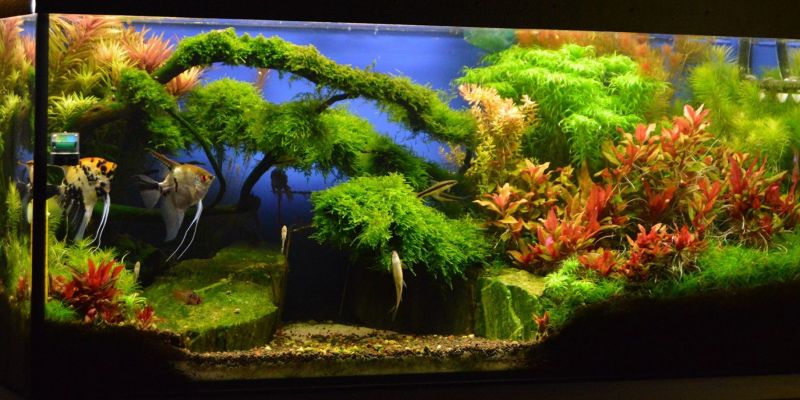 240l - Nad strumieniem - Dominik Antczak 