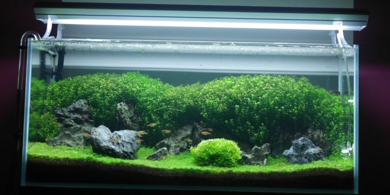 140l - looptr000p 