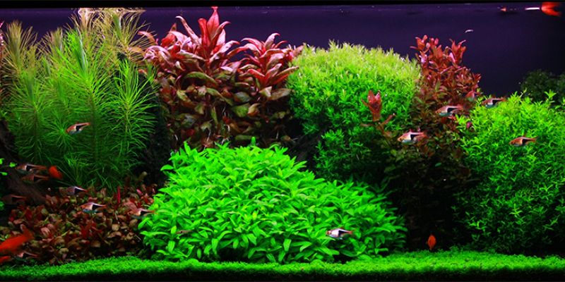 120l - Marcin Kowalski