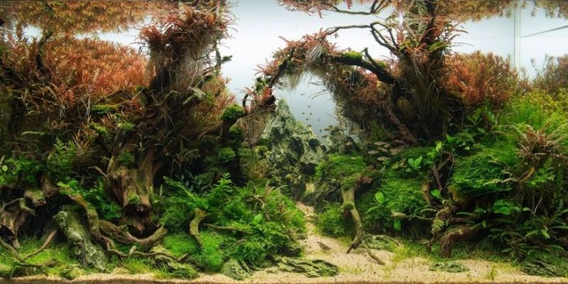 360l - Piotr Dymowski - October Twillight