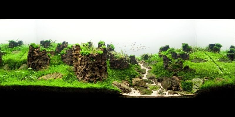 360l - Reborn - Piotr Dymowski