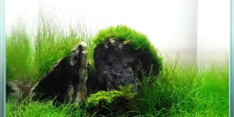 043l - Salonowy Cube - Bu7i